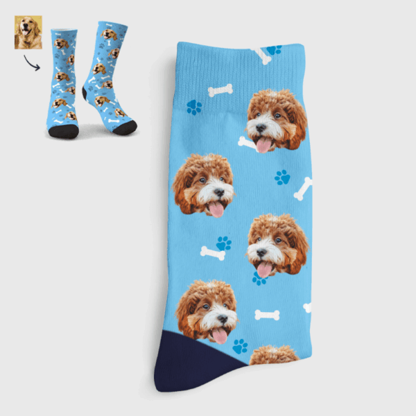 Tu perro en tus calcetines